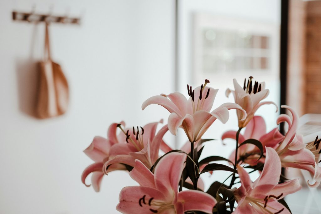interior pink